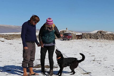 A German couple lost their dog in July: How a Chennai woman gave them a happy ending