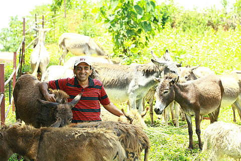 Aby Baby and his 20 jennies: The Kerala farmer who wants a donkey milk revolution in India