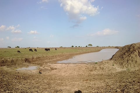 ‘Upper caste landlords have snatched away our lands’, Andhra Dalit farmers allege