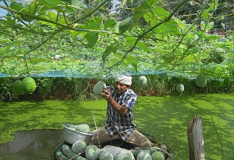 There’s an organic farming revolution building in Kerala, and this organisation is at the heart of it