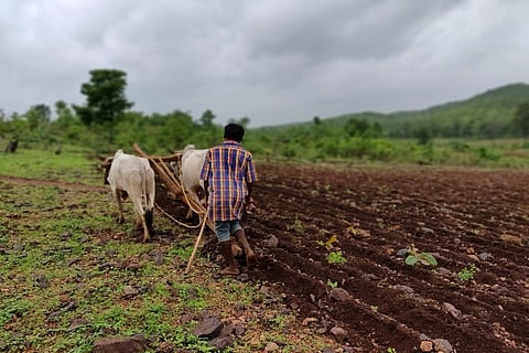 Representative image of a farmer at work