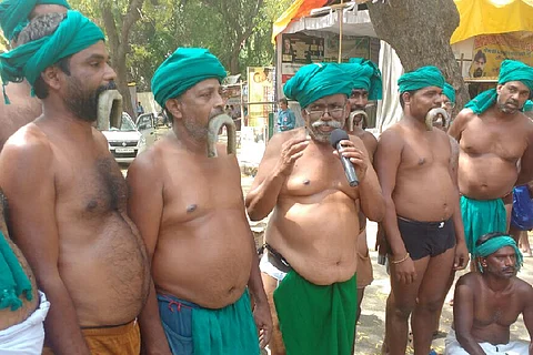 TN farmers in Delhi hold dead snakes in mouth on Day 16 of protests