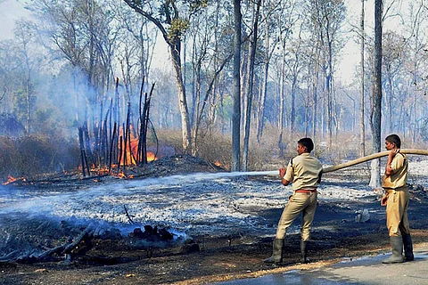 Four forest fires in 10 days destroy 700 acres of trees in Karnataka, no one knows the cause