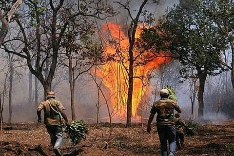 Understaffed and facing threats to life, Kerala’s Forest Dept officials speak out