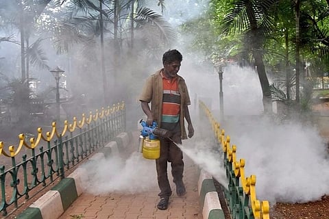 The World Health Minute: South India worst hit by dengue, cows helping researchers fight HIV