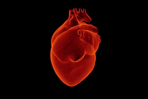 CHIP and Hope: How doctors are crossing the final frontier in treating major heart attacks
