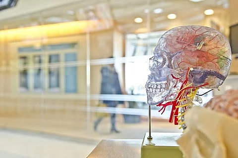 What is cryopreservation and can frozen human bodies really be brought back to life?