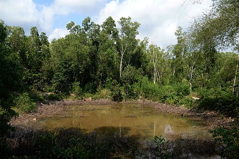 ‘Exorcising’ a ghost to save a pond: Heartwarming story from Kerala University campus