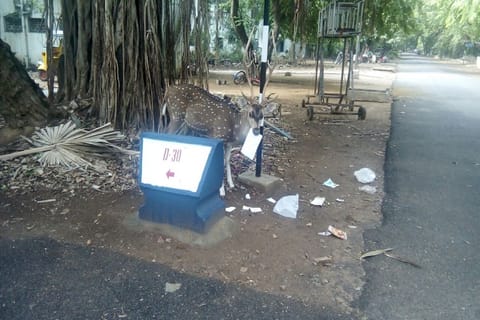 Despite warnings on animal deaths, deer seen eating garbage in IIT Madras