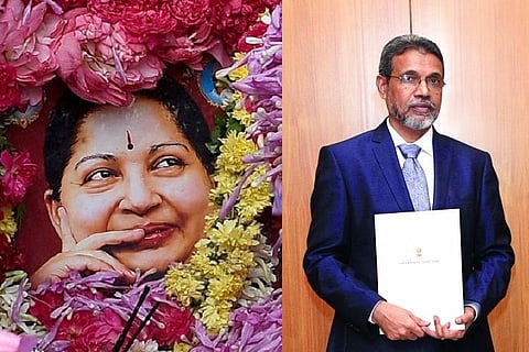 Amma's love for agriculture, and the man she trusted the gardens in her estate with