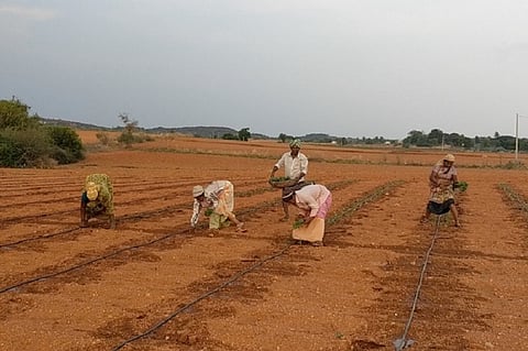 Failed borewells and farmer suicides: The human cost of Anantapur’s agrarian crisis