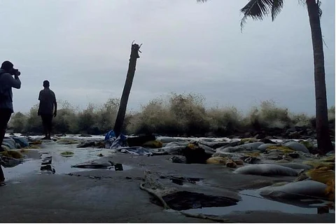 47 dead due to cyclone Ockhi in Kerala, 188 missing: Police