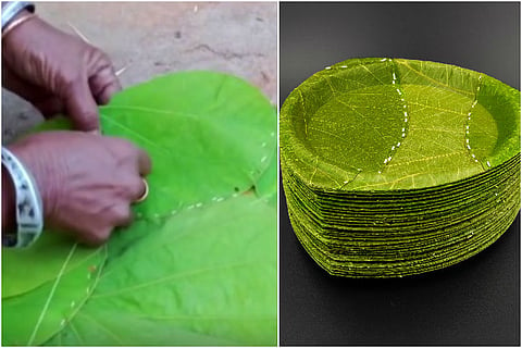 Watch: Now leaves from India become eco-friendly plates in Germany