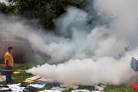 The World Health Minute: Monkey fever claims woman’s life in Goa, malaria cases rising in Nicaragua