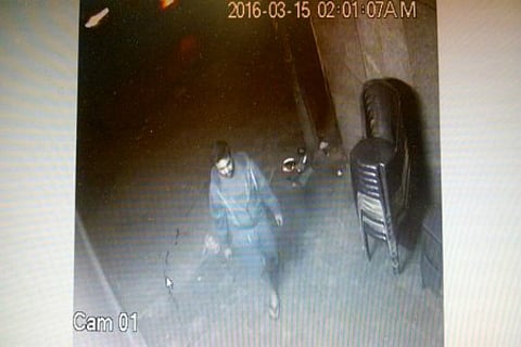 Delhi man stabs three stray dogs, gruesome act caught on camera