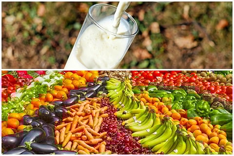 Around half of India’s milk, fruit, vegetable production goes waste: Study