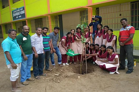 An NGO in Chennai is replacing the trees the city lost to Vardah, with one sapling at a time