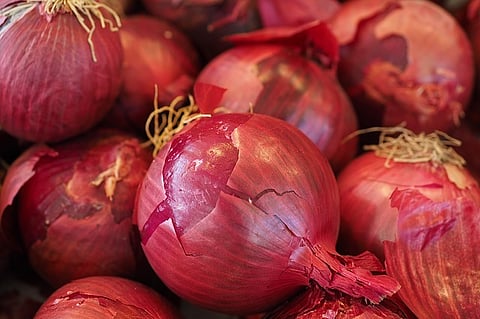 Onion