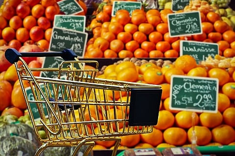 Hundreds of online grocery startups shut shop since 2015, why are unicorns now betting big?