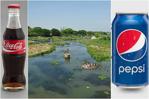 Not just Pepsi and Coke, here are the other companies sucking the Thamirabarani dry