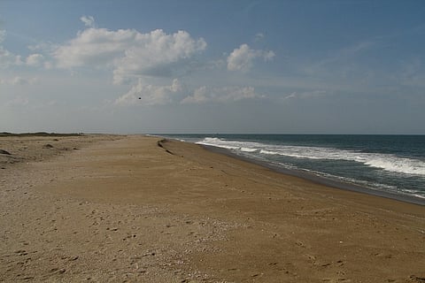 TN Forest department stays mega residential project in eco-sensitive Pulicat