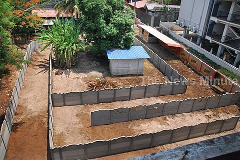 Kerala bar's ingenious idea to beat SC order: A twisted maze to the entrance