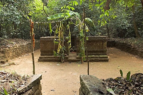 Sacred groves of Kodagu: How faith is helping conserve Karnataka's protected forests