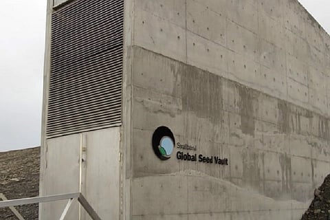 Watch: The 'Doomsday Vault', an Arctic seed bank that’s insurance for earth’s plant diversity