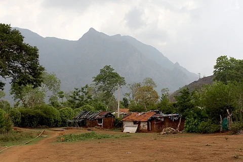 How a conflict between different ideas of conservation is hurting the adivasis of Tamil Nadu