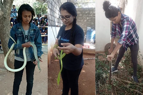 Rescuing snakes, busting myths: Meet the Hyderabad women who love the reptile