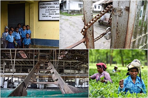 Photo feature: Duncans’ closed tea gardens in Bengal: Poverty, malnutrition, prostitution plague workers