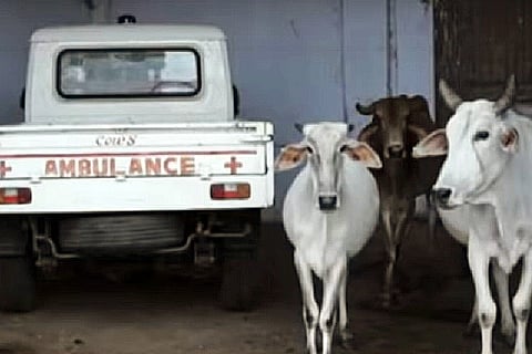 'The Hour of Lynching' documentary: A portrait of grief triggered by cow vigilantism