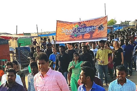 Huge youngsters' rally in Chennai calls for Central legislation allowing Jallikattu