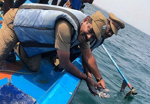 How volunteers, the forest dept and fishermen saved a juvenile olive ridley turtle in Chennai