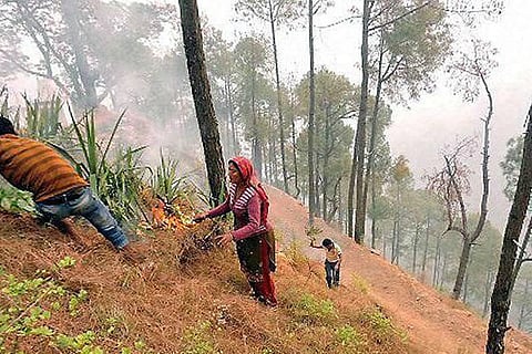 Is Uttarkhand really on fire? Tourism industry says coverage exaggerated