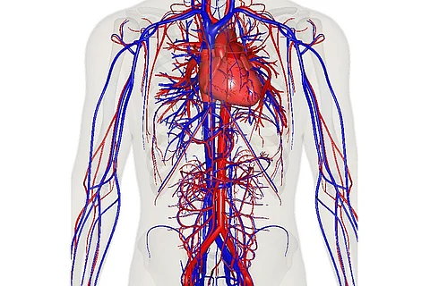 Do you check the religion of your blood or organ donor?