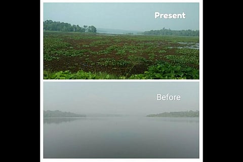 As Kerala’s Vellayani Lake dies a slow death, residents urge govt to take action