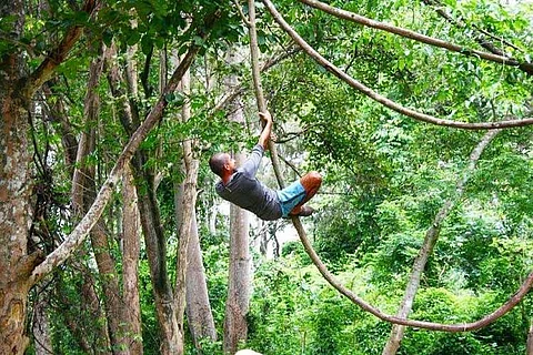 Meet Vijo Varghese, a Malayali eco-warrior living in the jungles of Thailand