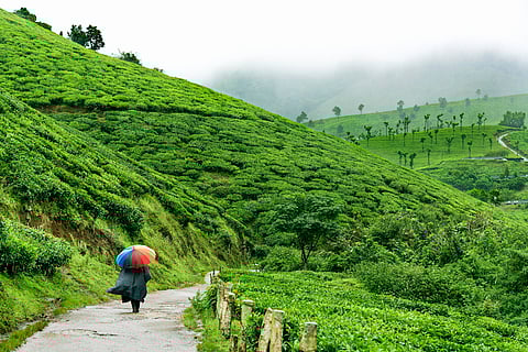 Munnar