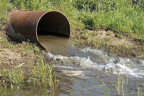 India among top 5 countries using dirty wastewater on farms