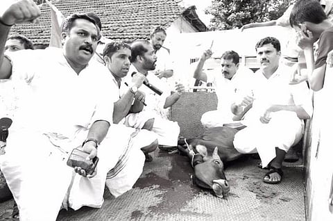 Eight Kerala Youth Congress members who publicly slaughtered calf arrested