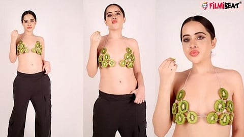 கிவி பழத்தில் மேலாடை
