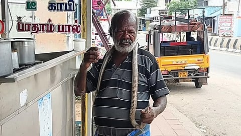 Tenkasi