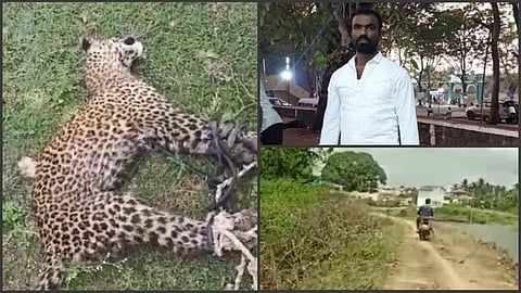 Karnataka