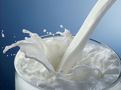 GST Council cuts tax on dairy products, farm equipment, fertiliser and biopesticides