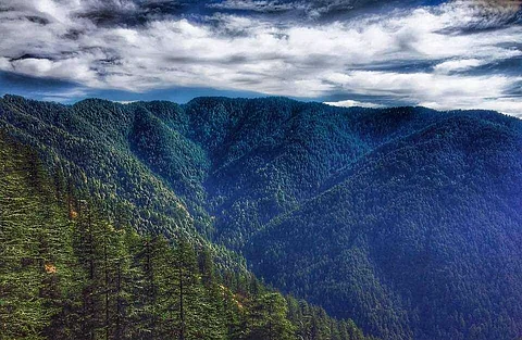 Green Valley Shimla