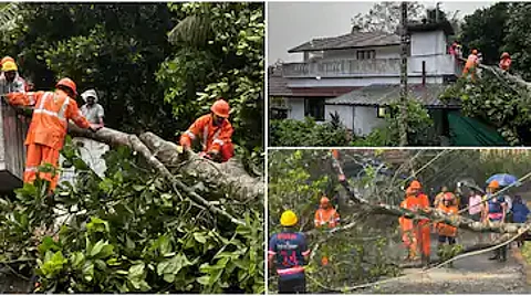 വേനൽമഴയിൽ വയനാട്ടിൽ പലയിടത്തും നാശനഷ്ടം: വീടിന് മുകളിൽ മരം വീണു, ഇലക്ട്രിക് പോസ്റ്റ് ഒടിഞ്ഞു വീണു