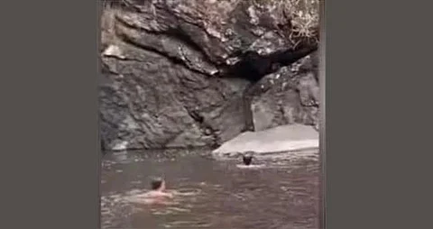 student drowned death