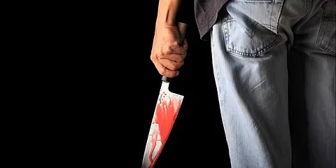 Son stabbed his mother