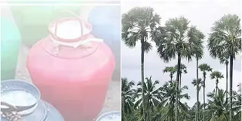 illegal toddy seized